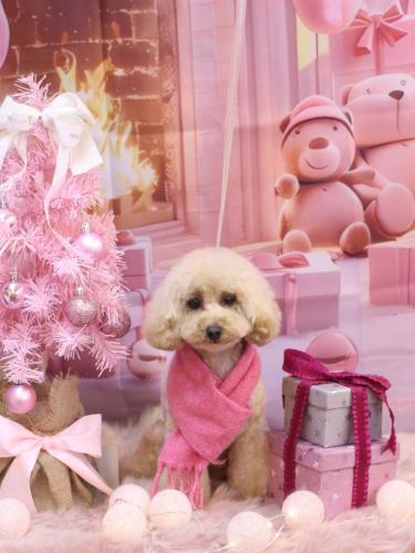 20241229サラちゃん